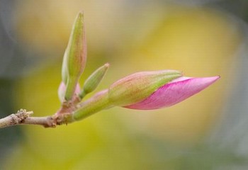 七天眼镜妹闺蜜打电话